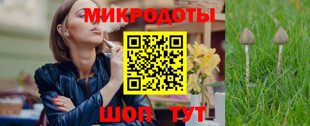 Псилоцибиновые грибы MAGIC MUSHROOMS  Псилоцибиновые грибы Psilocybine cubensis  Аргун  сколько стоит  Вход с VPN 